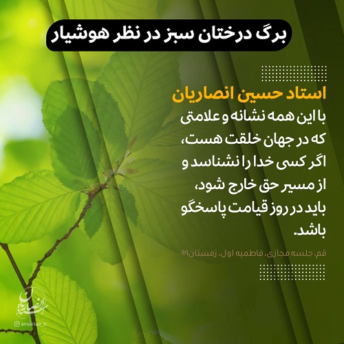 برگ درختان سبز در نظر هوشیار ...